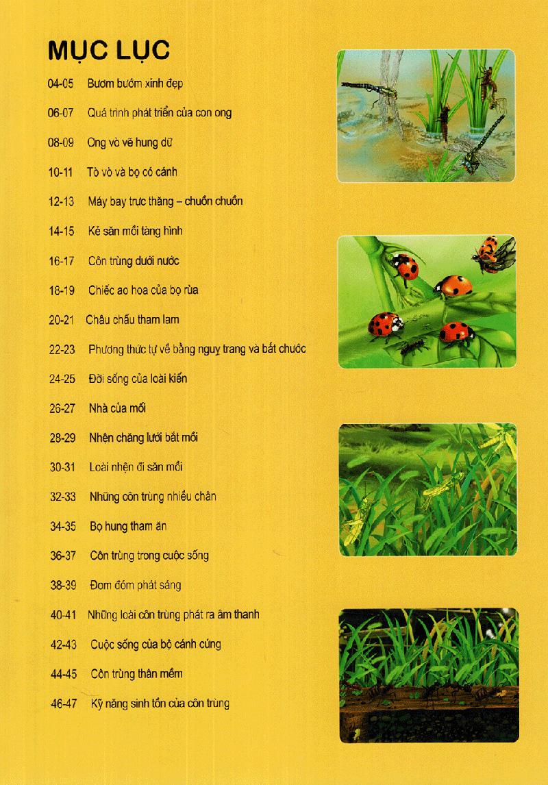 Thế Giới Động Vật Kì Thú - Vườn Côn Trùng