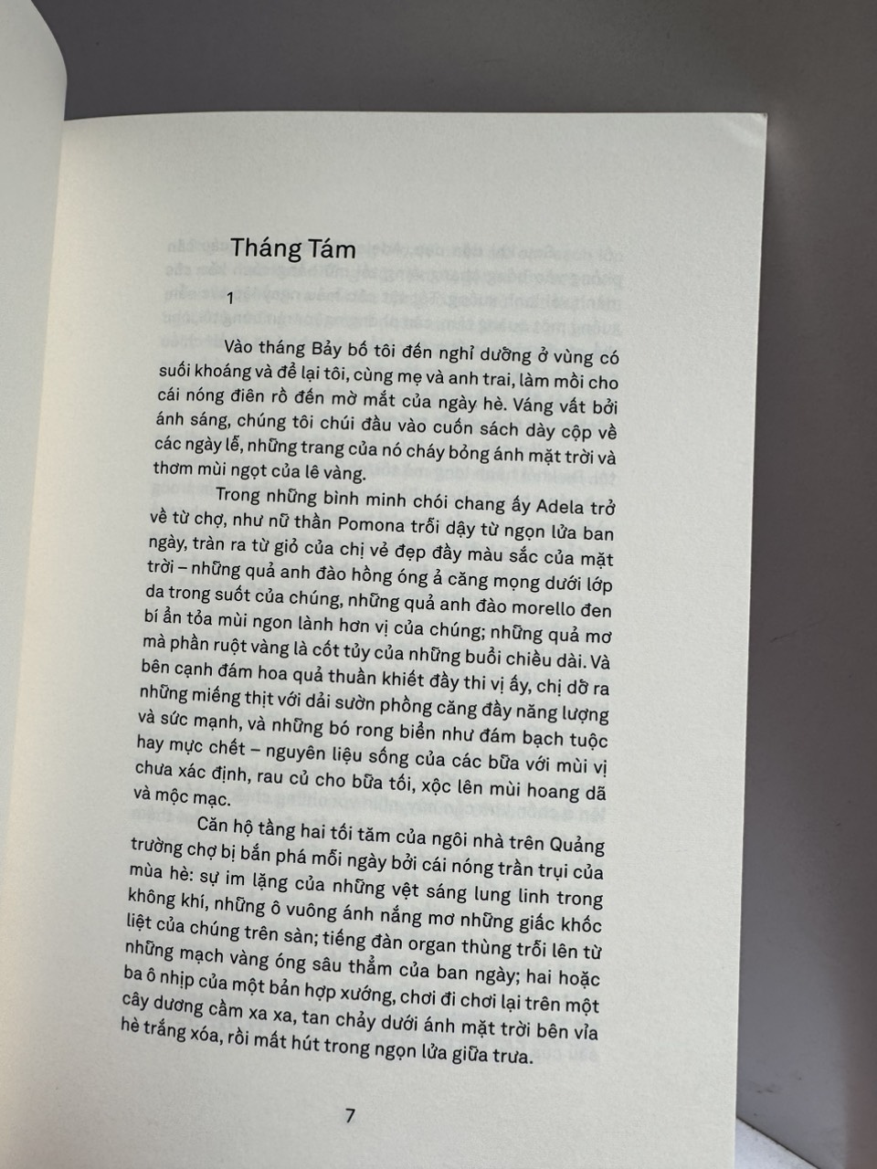 NHỮNG HIỆU QUẾ - Bruno Schulz - Xuân Trường dịch – Xuất Bản Khác