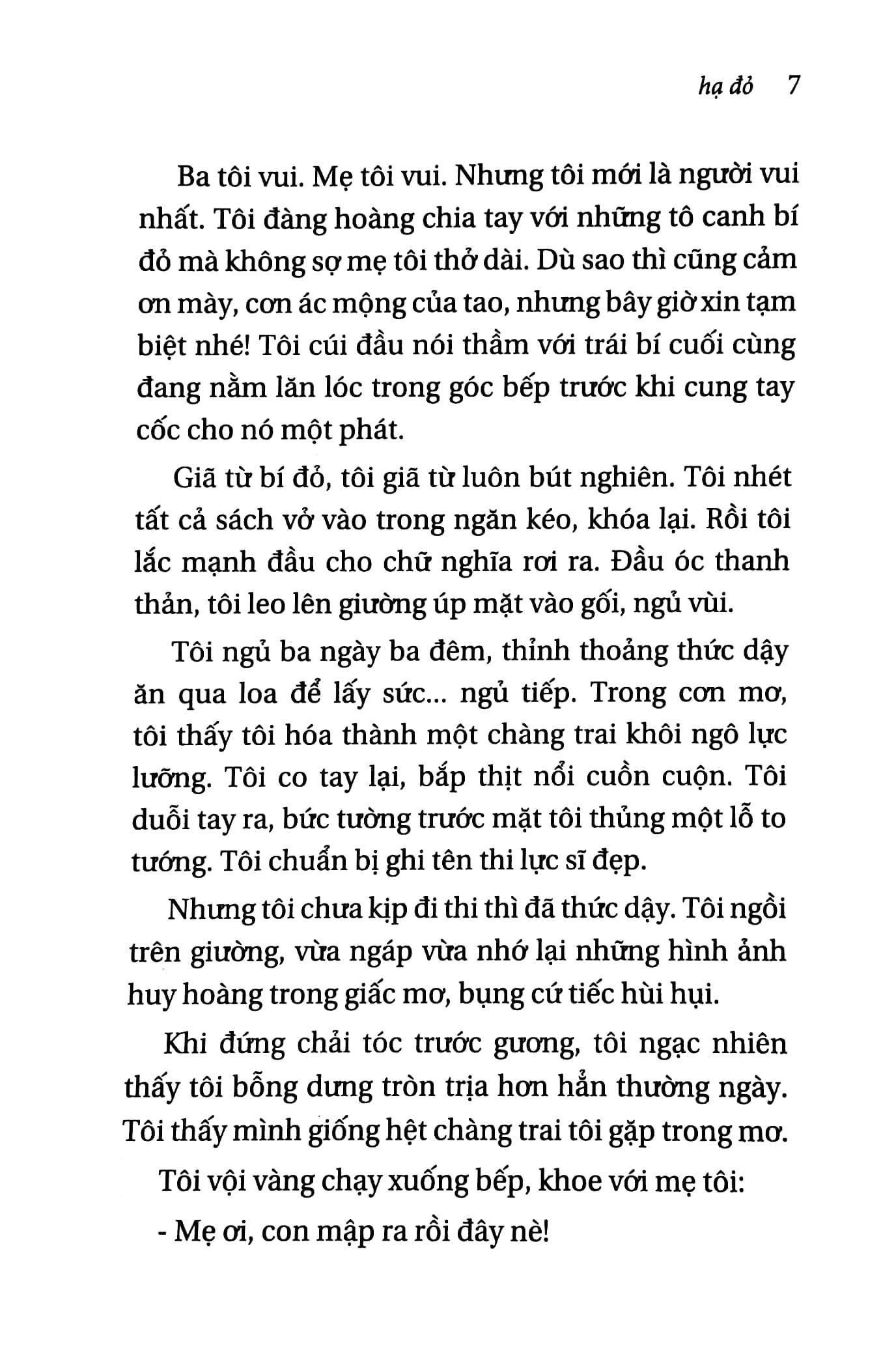Hạ Đỏ (Tái Bản 2022)