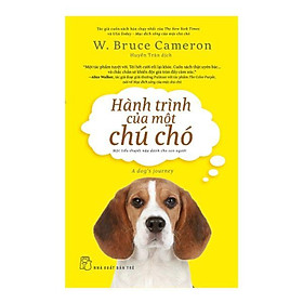 Hành Trình Của Một Chú Chó
