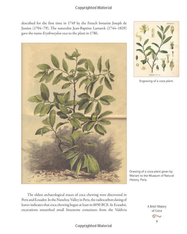 Coca Wine: Angelo Mariani
