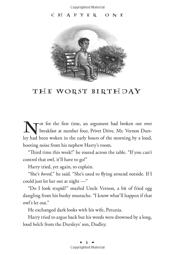 Harry Potter And The Chamber Of Secrets (Harry Potter và Phòng chứa bí mật) (English Book)