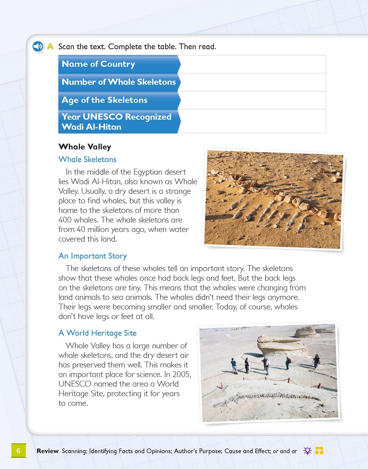 Global Stage Literacy Book And Language Book Level 4