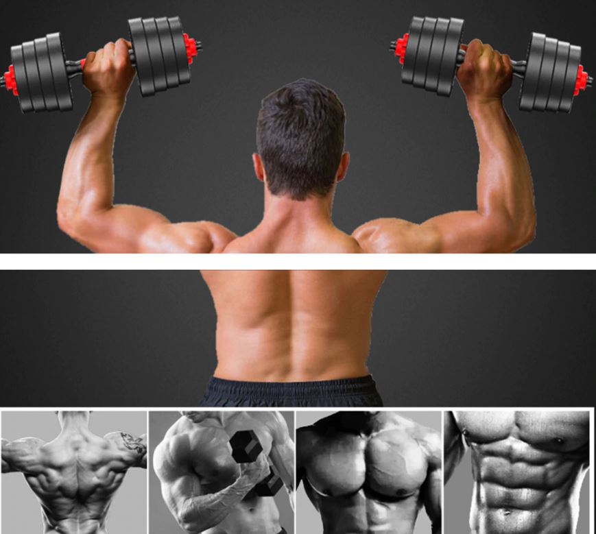 Tạ tập tay đẩy kết hợp, tạ nam nữ tập gym tập thon tay Giá tốt Hàng Chuẩn(Chọn Lực Nặng Của Tạ 20kg ,30kg, 40kg Tùy chọn)