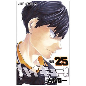 ハイキュー！！　　２５ HAIKYUU 25