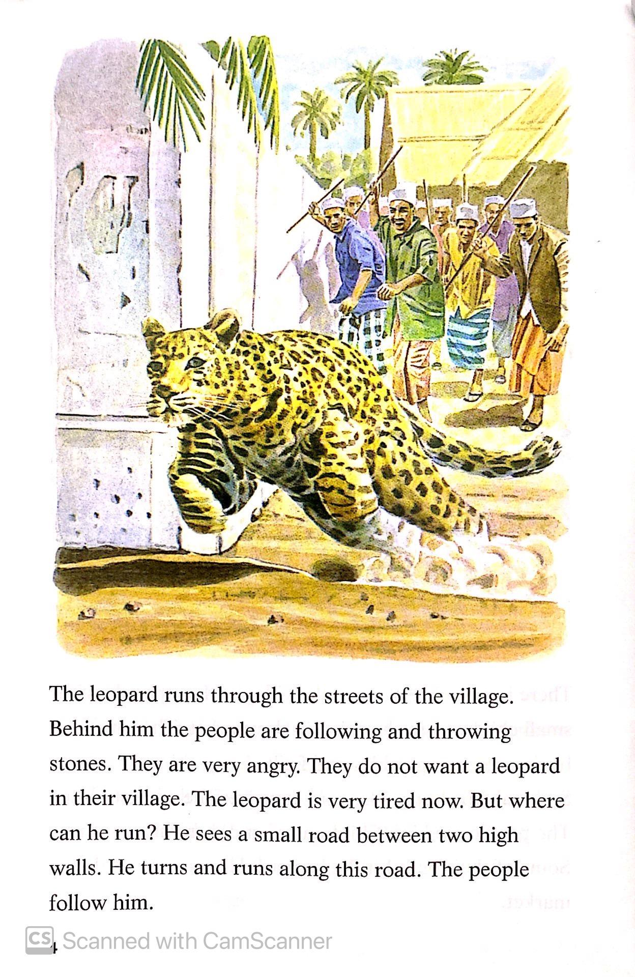 The Leopard and the Lighthouse: Easystarts