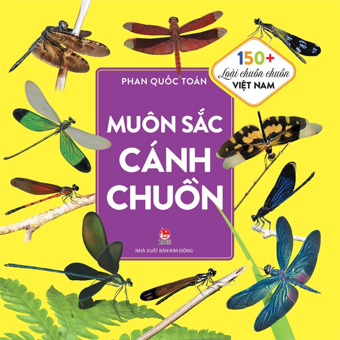 Muôn Sắc Cánh Chuồn