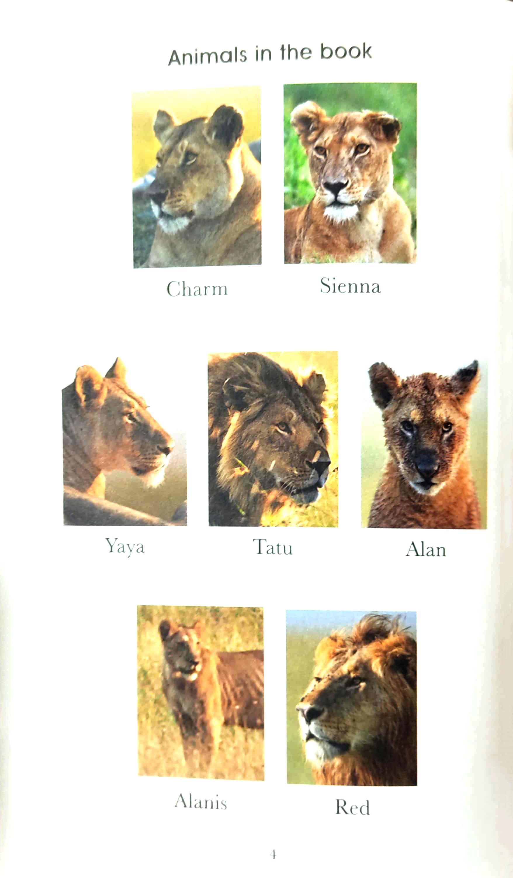 Penguin Readers Level 1: BBC Dynasties: Lions