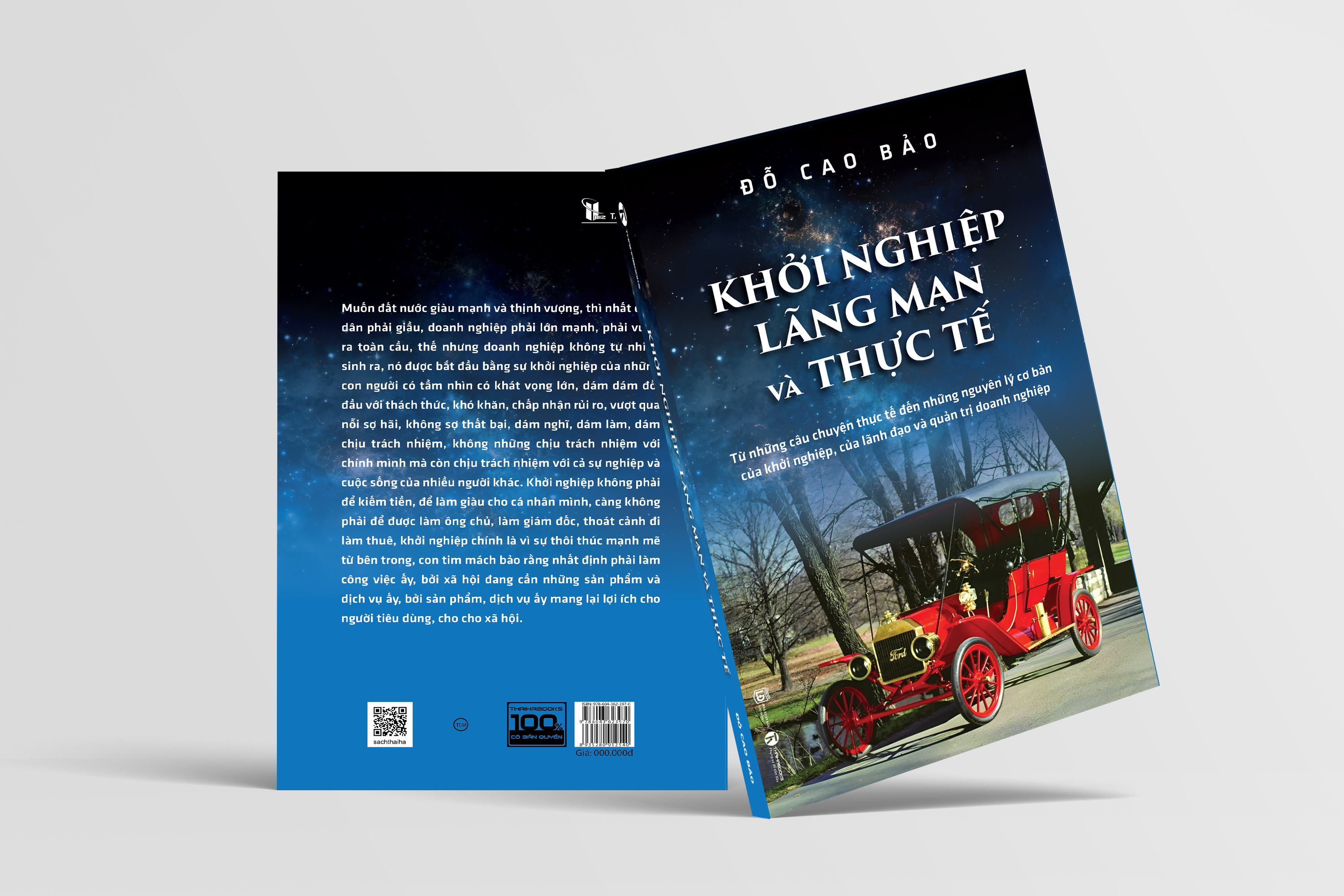 Khởi nghiệp, lãng mạn và thực tế - Tác giả Đỗ Cao Bảo