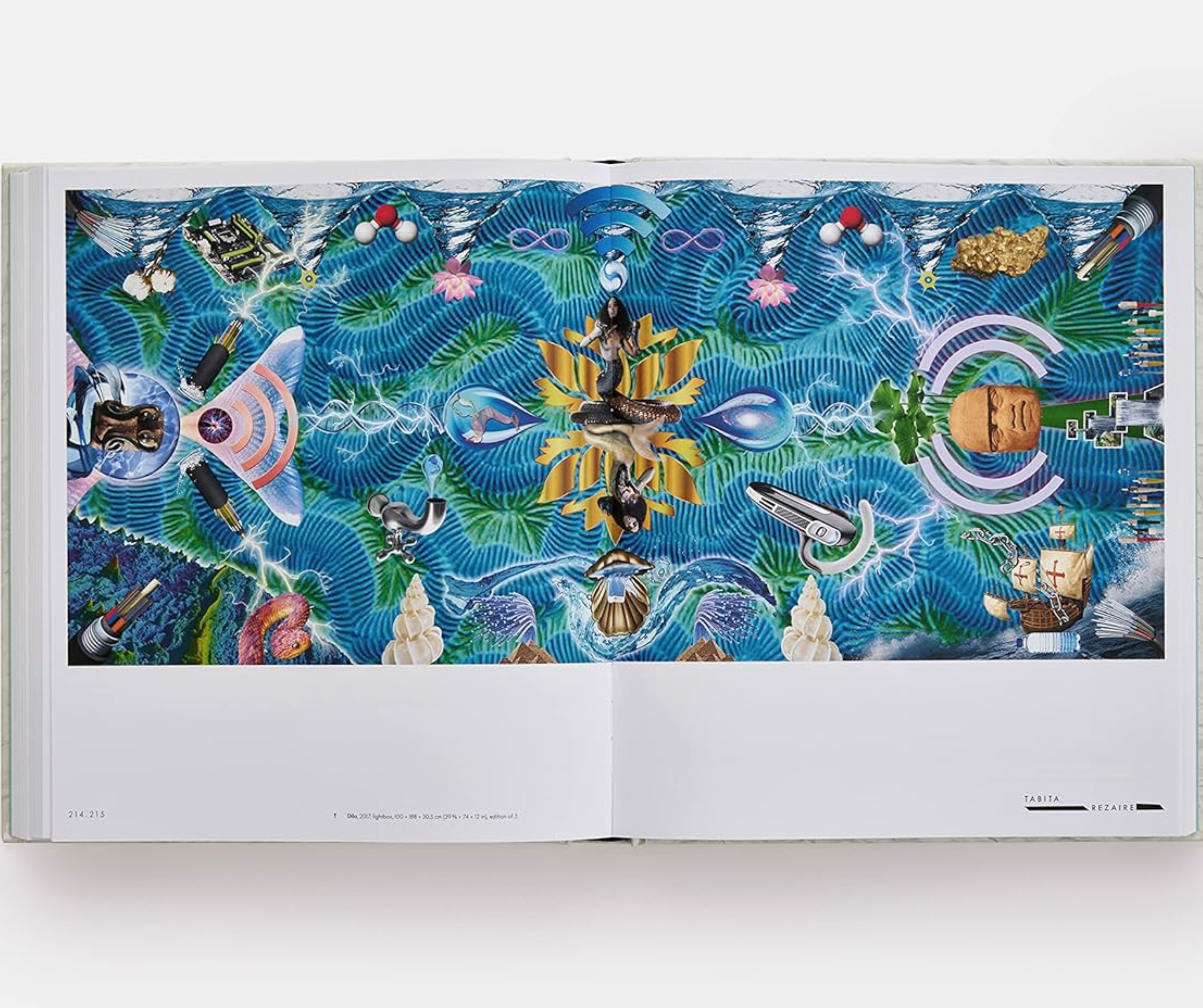 Artbook - Sách Tiếng Anh - Vitamin C+: Collage in Contemporary Art