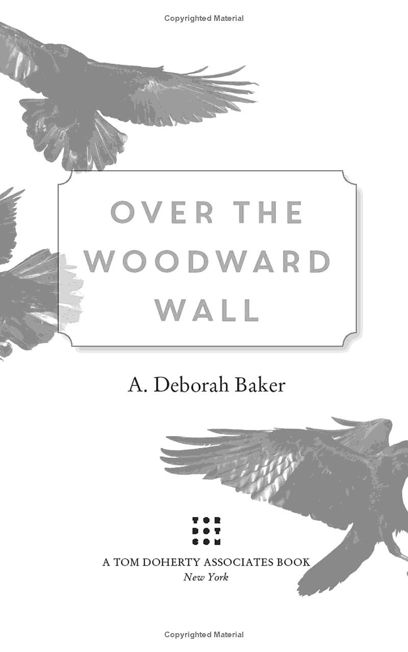 Over The Woodward Wall
