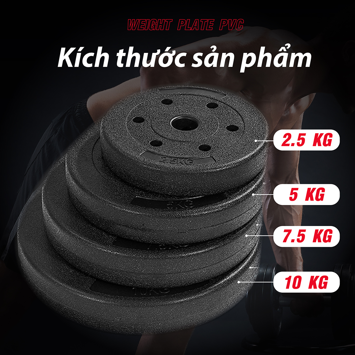 BG Bánh Tạ Nhựa 1.25kg Đặc Ruột - Tạ Miếng Nhựa - Sẵn Kho Giao Liền