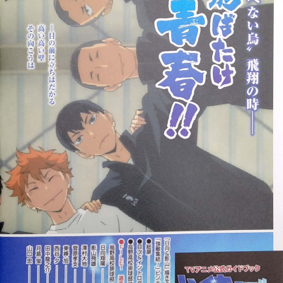 TVアニメ公式ガイドブック ハイキュー!! セイシュンメイカン!! - TV Anime Official Guidebook Haikyu !!