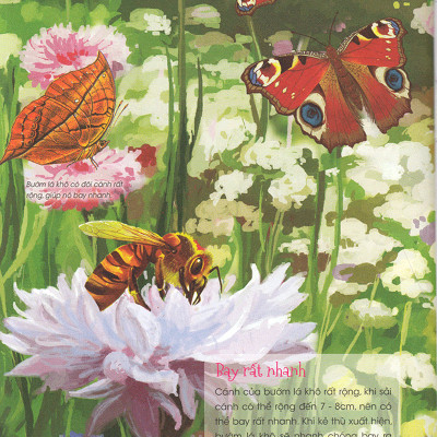 Thiên Nhiên- Những Bí Mật Còn Ẩn Giấu - Động Vật Quý Hiếm (Tái Bản 2019)- 2HBooks