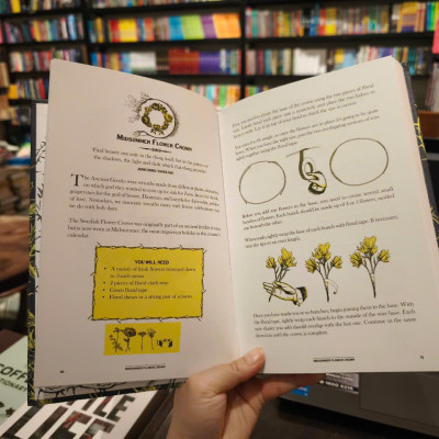 Sách - The Wild Book: Outdoor Activities to Unleash Your Inner Child by David Scarfe