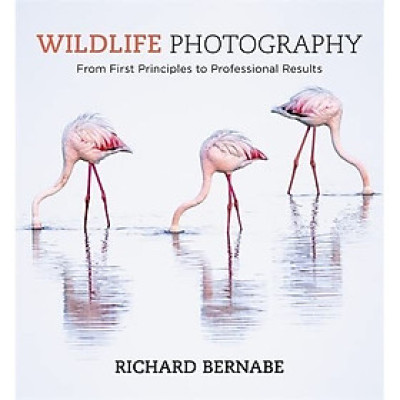 Sách - Wildlife Photography by Richard Bernabe - From First Principles To Professional Results