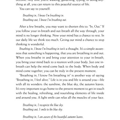 Happiness - Essential Mindfulness Practices