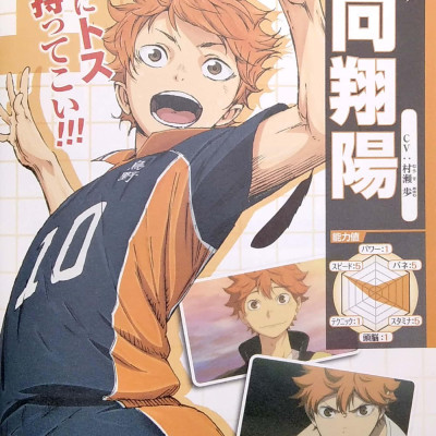 TVアニメ公式ガイドブック ハイキュー!! セイシュンメイカン!! - TV Anime Official Guidebook Haikyu !!