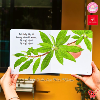 Sách Ehon - Ú Òa, Quả Gì Đây?, Ú Òa, Mèo Đâu Rồi?, và Ú Òa, Ra Vườn Thôi! Bộ 3 tập - Cho trẻ 0 - 6 tuổi - Đinh Tị Books