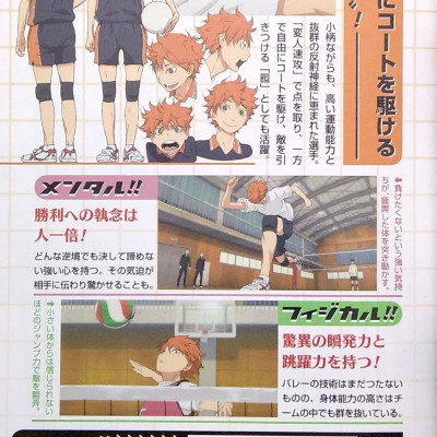TVアニメ公式ガイドブック ハイキュー!! セイシュンメイカン!! - TV Anime Official Guidebook Haikyu !!