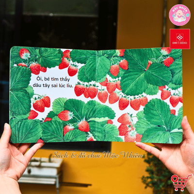 Sách Ehon - Ú Òa, Quả Gì Đây?, Ú Òa, Mèo Đâu Rồi?, và Ú Òa, Ra Vườn Thôi! Bộ 3 tập - Cho trẻ 0 - 6 tuổi - Đinh Tị Books