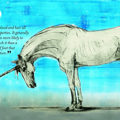 Fantastic Beasts: The Wonder of Nature (Amazing Animals and the Magical Creatures of Harry Potter and Fantastic Beasts) (Paperback)