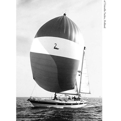 Adrift A True Story of Love, Loss, and Survival at Sea [Movie tie-in]