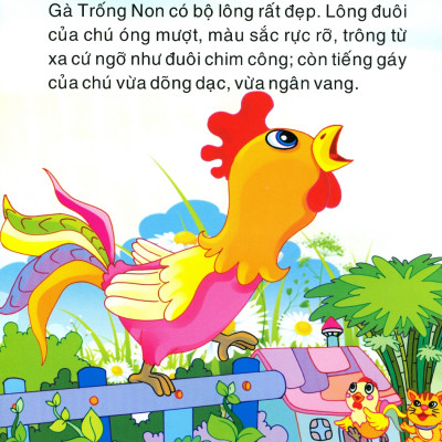 Cổ Tích Trăng Non - Gà Trống Kiêu Căng