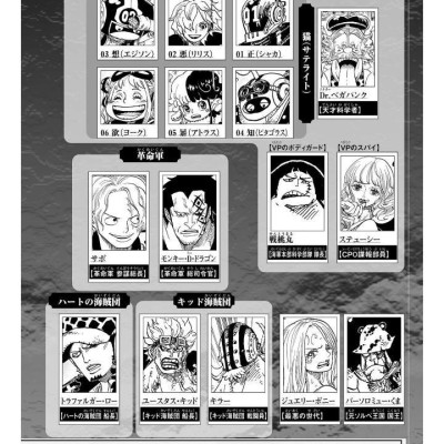 One Piece 107 (Japanese Edition)