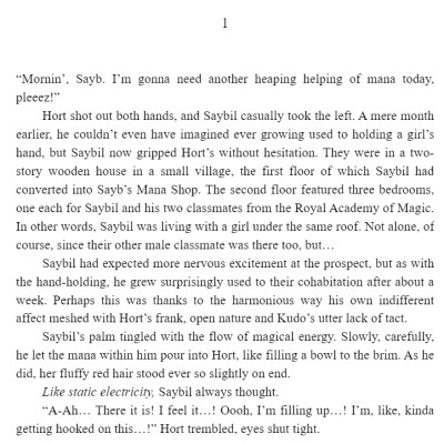 The Dawn Of The Witch 2 (Light Novel): The Mama Merchant And A Premonition Of Love