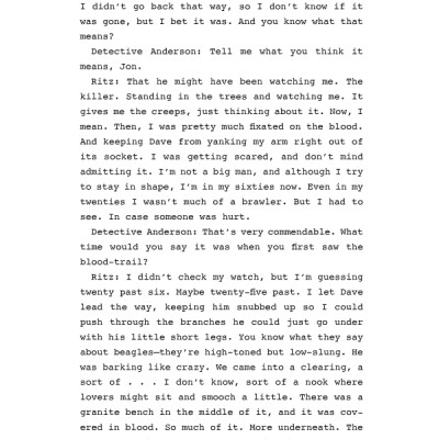 Stephen King: The Outsider (Hardcover)