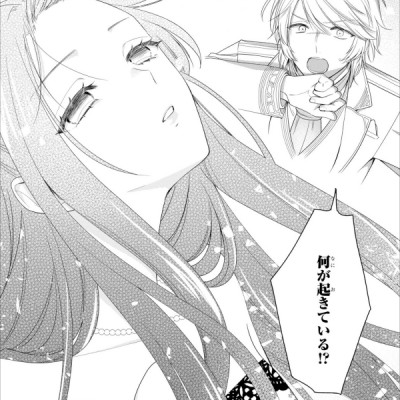 Akuyaku Reijo Wa Ringoku No Otaishi Ni Dekiai Sareru 3 (Japanese Edition)