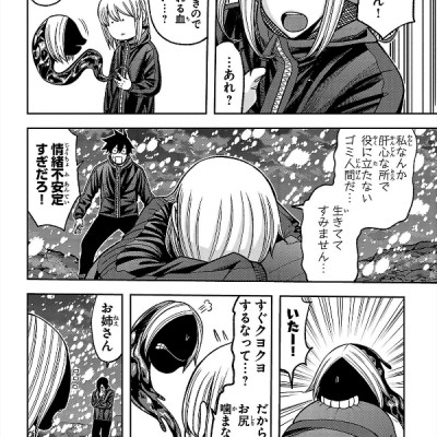 Togen Anki 11 (Japanese Edition)