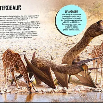 Sách tiếng Anh - If Prehistoric Beasts Were Here Today : Savage Predators