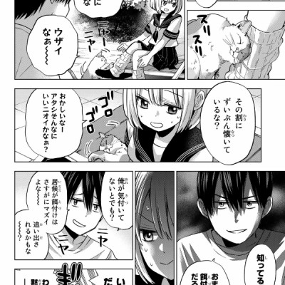 カッコウの許嫁 8 - A Couple Of Cuckoos 8