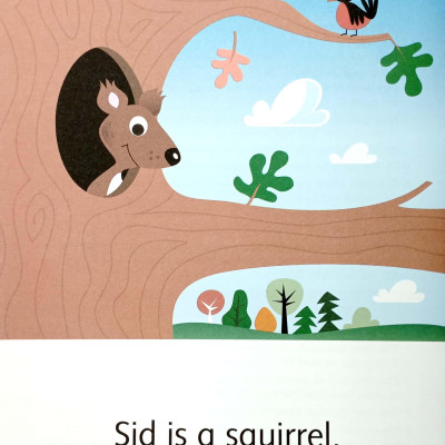 Dolphins Starter: Silly Squirrel