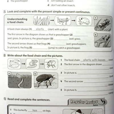 Starlight: Level 5: Workbook