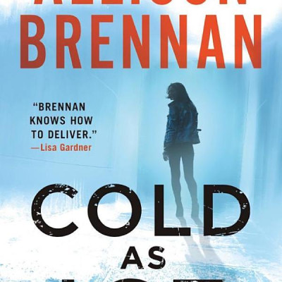 Lucy Kincaid Novels 17: Cold As Ice