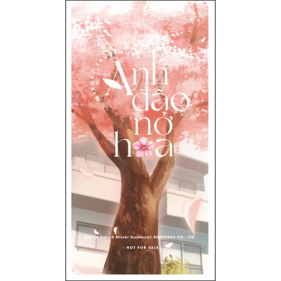 Sách Anh đào nở hoa _AZ