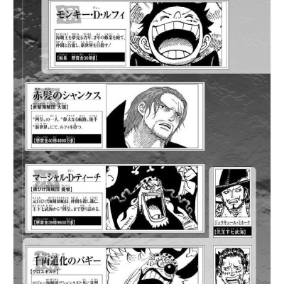 One Piece 107 (Japanese Edition)