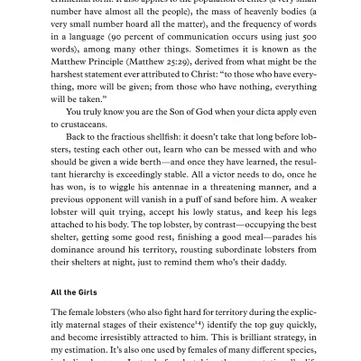 12 Rules For Life: An Antidote To Chaos