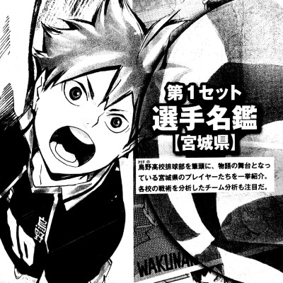 Haikyu!! Complete Guide Book