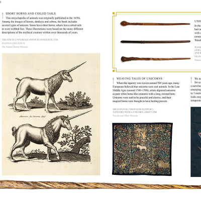 Fantastic Beasts: The Wonder of Nature (Amazing Animals and the Magical Creatures of Harry Potter and Fantastic Beasts) (Paperback)