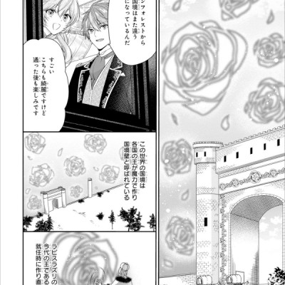 Akuyaku Reijo Wa Ringoku No Otaishi Ni Dekiai Sareru 4 (Japanese Edition)