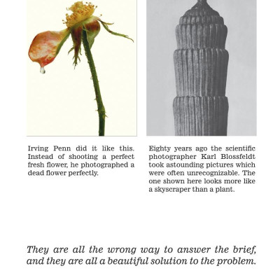 Whatever You Think, Think the Opposite