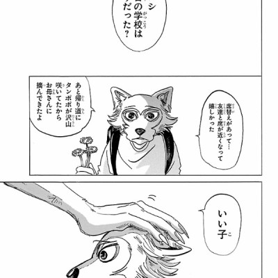 BEASTARS 16 (Japanese Edition)