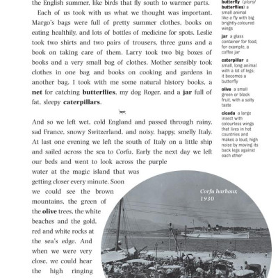 Dominoes 3 My Family and Other Animals