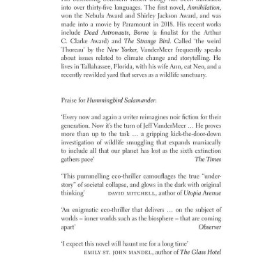 Hummingbird Salamander