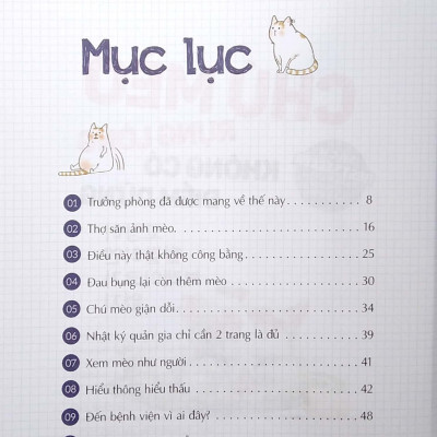 Chú Mèo Rụng Lông Không Có Điểm Dừng