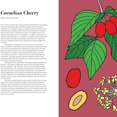 Edible : 70 Sustainable Plants That Are Changing How We Eat 